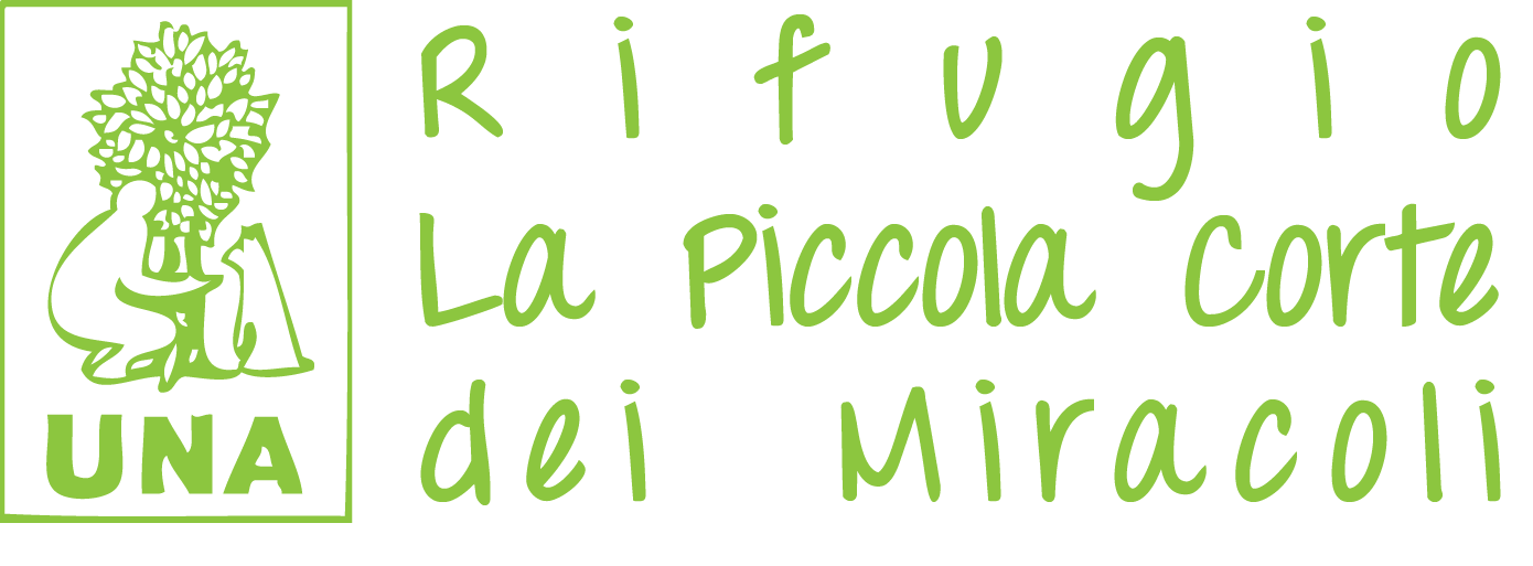 La piccola corte dei miracoli